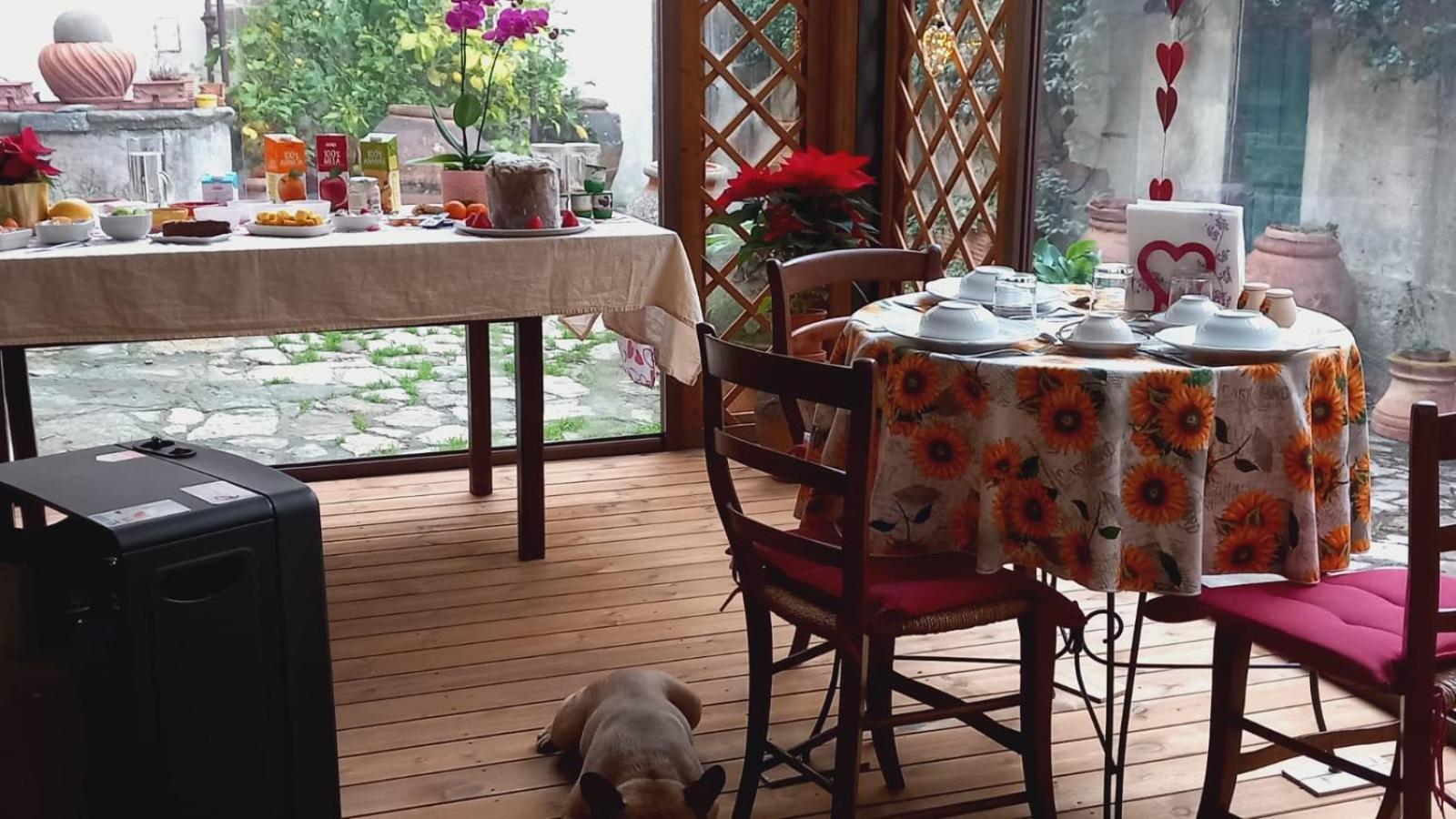Sunshine Suites Firenze Eksteriør billede